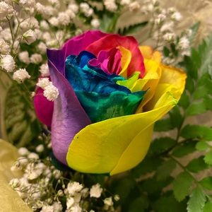 Meet your Posher Monica